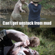 Illustration for article titled In the most biting emWalking Dead/em memes, everybody hates Lori!